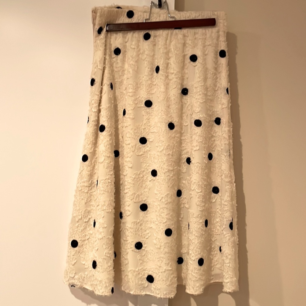 Tea length skirt from Anthropologie